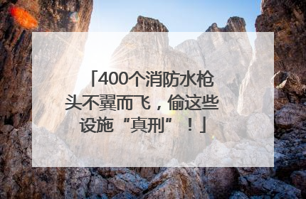 400个消防水枪头不翼而飞，偷这些设施“真刑”！