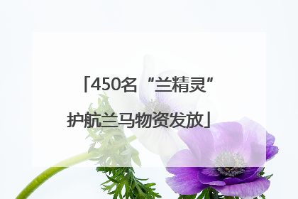 450名“兰精灵”护航兰马物资发放