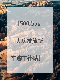 500万元！大庆发放新车购车补贴