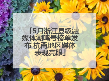 5月浙江县级融媒体潮鸣号榜单发布 杭甬地区媒体表现亮眼