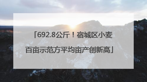 692.8公斤！宿城区小麦百亩示范方平均亩产创新高