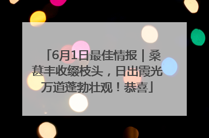 6月1日最佳情报｜桑葚丰收缀枝头，日出霞光万道蓬勃壮观！恭喜