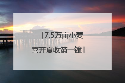 7.5万亩小麦喜开夏收第一镰