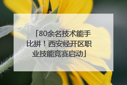 80余名技术能手比拼！西安经开区职业技能竞赛启动