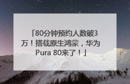 80分钟预约人数破3万！搭载原生鸿蒙，华为Pura 80来了！