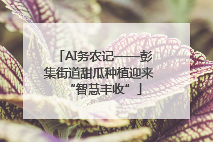 AI务农记——彭集街道甜瓜种植迎来“智慧丰收”