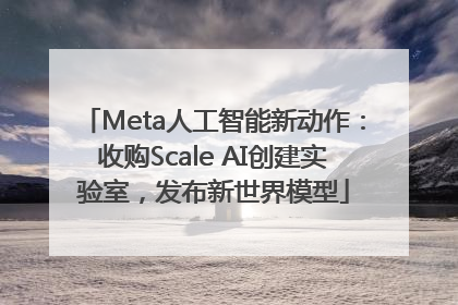 Meta人工智能新动作：收购Scale AI创建实验室，发布新世界模型