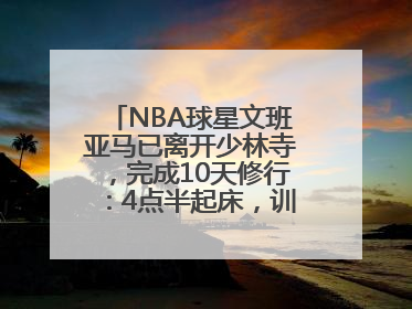 NBA球星文班亚马已离开少林寺，完成10天修行：4点半起床，训练强度高于武僧