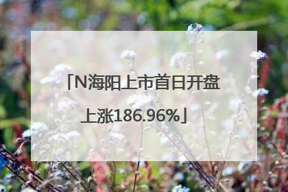 N海阳上市首日开盘上涨186.96%