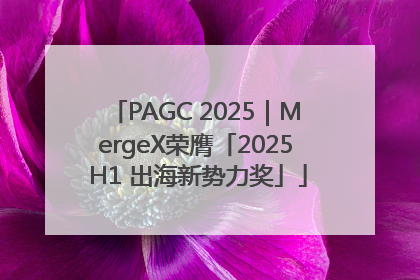 PAGC 2025｜MergeX荣膺「2025 H1 出海新势力奖」